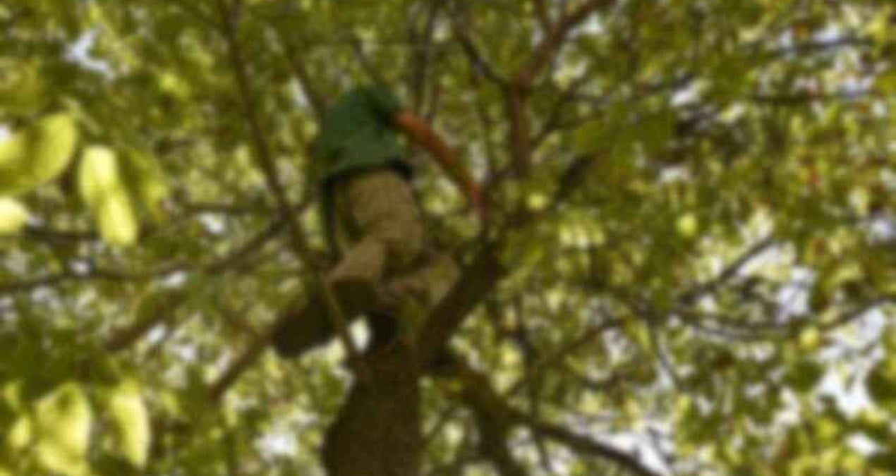 agactan dustu hastanede oldu mDzkU7yX