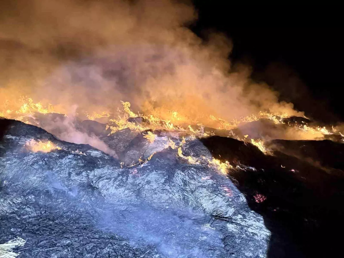 afyonkarahisarda yangin eber golunden toplanan kamislarin depolari alev aldi 8xZXmVgH