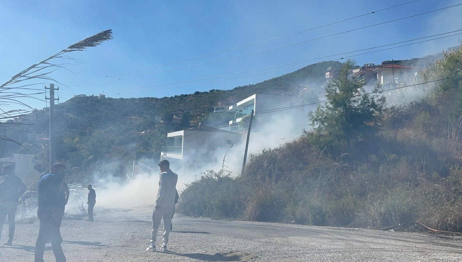 alanyada ormanlik alanda yangin 4zxXnkPO.jpg