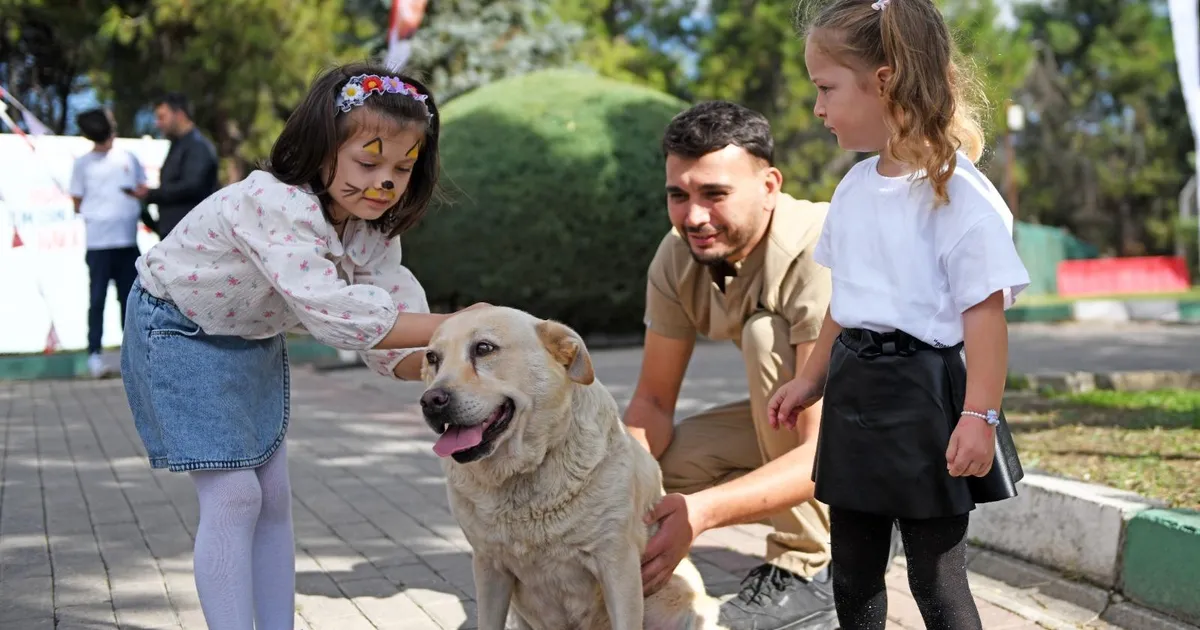 bursada can dostlar osmangazi korumasinda EHDFArtC
