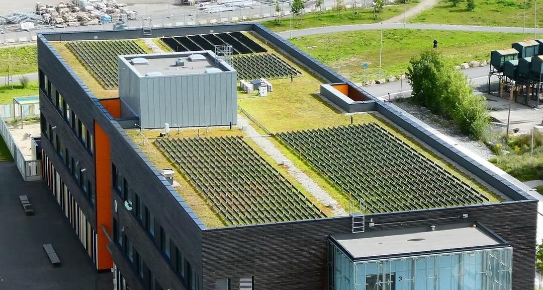 dikey gunes panelleri ve yesil cati bir arada krsQcyce