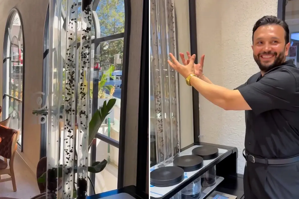 havada ucan kahve yunus cakmaktan kahveye gorsel solenli dokunus tRulAUH3