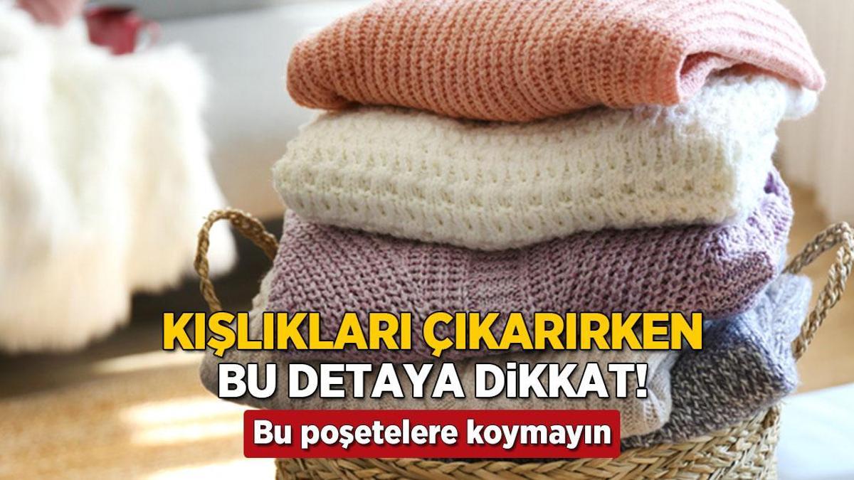 posette saklanan kisliklar sorun cikariyor dolabi derhal silin uyarisi APjUvCNB.jpg