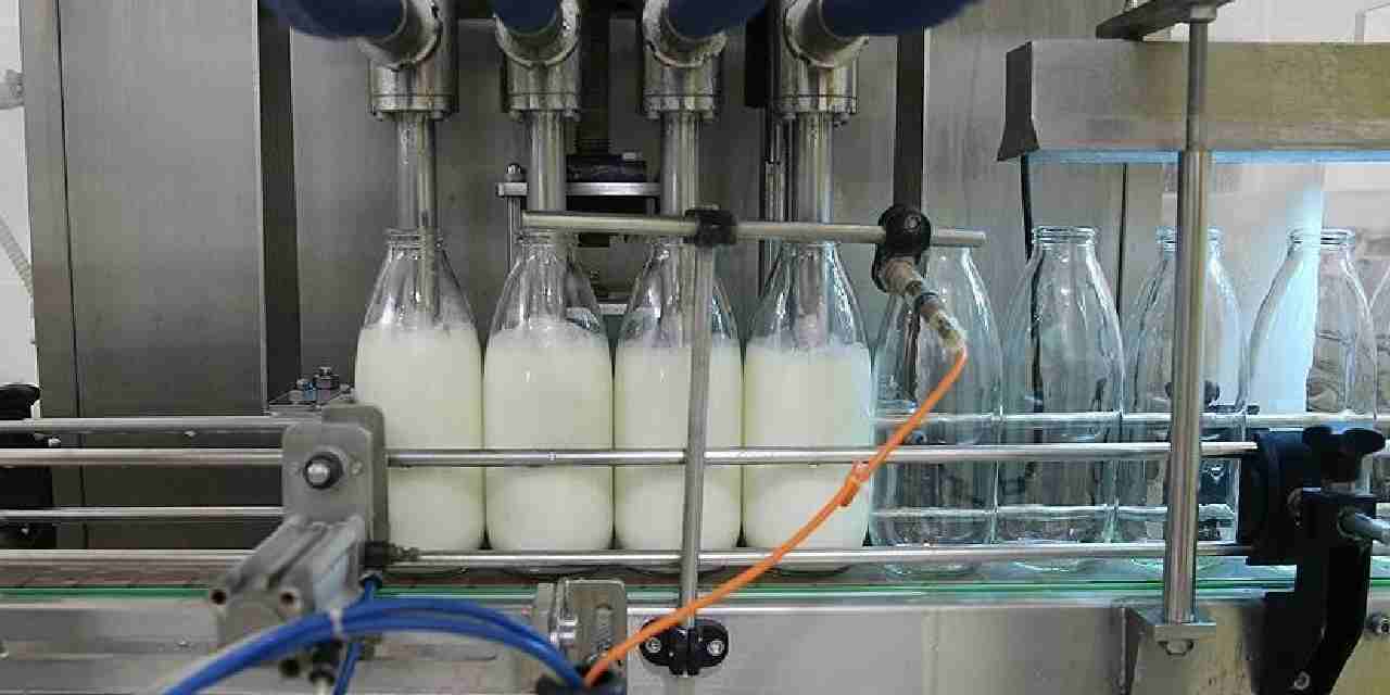 toplanan inek sutu miktari agustosta dustu lPmb7awy.jpg