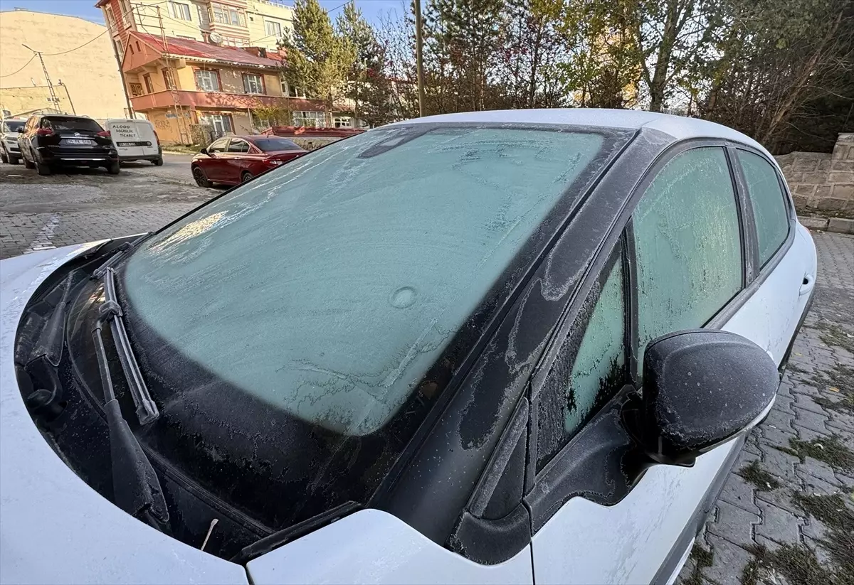 ardahanda dondurucu soguk nYk5pfMR.jpg