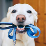 atlas-featured-4908-1775478978-1urVl4