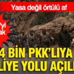 Terorsuz turkiye adi altinda skandal iddia 4 bin teror suclusuna tahliye yolu mu aciliyor rD2z2YKC
